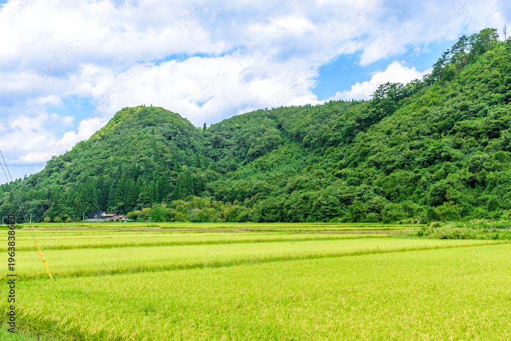 Obraz premium 骨寺村田園の秋 もうすぐ稲刈り 