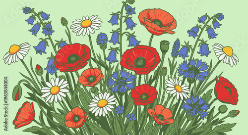 Colorful flowers with red poppies blooming.