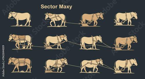 Cows pulling plow in various positions.