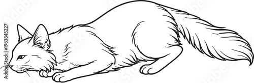 Balinese Cat Pouncing Low Crouch Black White Line Art Illustration