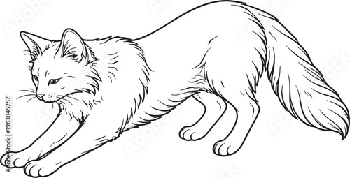 Balinese Cat Kneading Paws Side View Black White Line Art Illustration