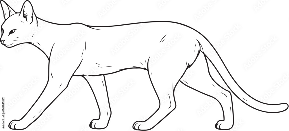 Obraz premium Savannah cat walking side profile line art illustration black and white feline