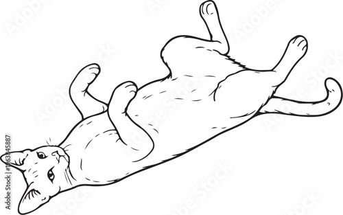 Savannah cat lying belly up line art illustration black and white playful feline pose