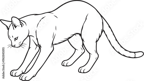 Savannah cat kneading paws line art illustration black and white feline comfort behavior