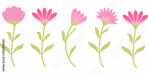 A collection of five vibrant pink flowers with green stems