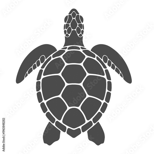 Sea Turtle Top View Icon Marine Animal Wildlife Symbol Flat Minimal Nature Design Isolated on White PNG Transparent Background