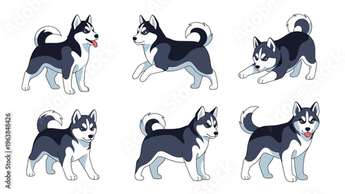 Detailed collection of Husky dog character poses showcases various behaviors like running, standing, and playful movements in a cute style.