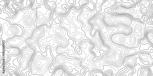 Black and white topographic map lines pattern with irregular contour shapes on a white background
