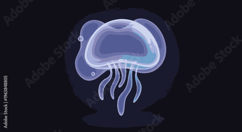 Large jellyfish in dark water column.
