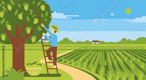 Man picking apples from ladder.