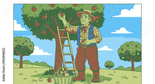 Man picking apples from tree 2.