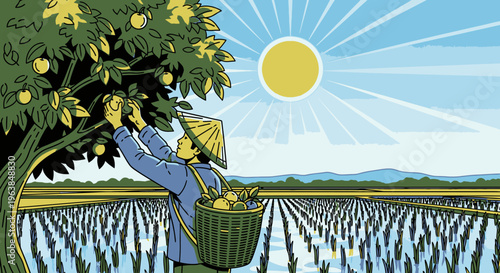 Man picking lemons from tree branch.