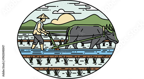 Man plowing field with oxen slowly 1.