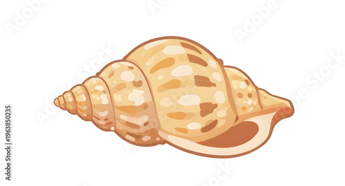 marine, conch, shell, seashell, ocean, sea, beach, sand, tropical, coastal, shellcartoon, cartoon, illustration, clipart, icon, icons, vector, shellvector, shellillustration, spiral, spiralshape, shel