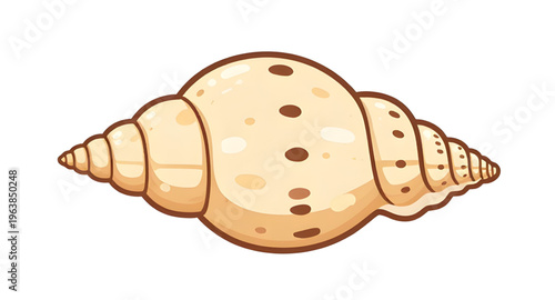 beach, conch, shell, seashell, ocean, sea, sand, marine, tropical, coastal, shellcartoon, cartoon, illustration, clipart, icon, icons, vector, shellvector, shellillustration, spiral, spiralshape, shel