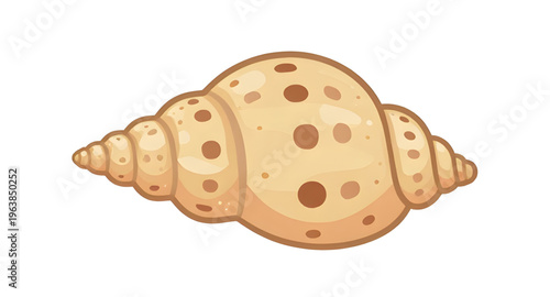 ocean, conch, shell, seashell, sea, beach, sand, marine, tropical, coastal, shellcartoon, cartoon, illustration, clipart, icon, icons, vector, shellvector, shellillustration, spiral, spiralshape, shel
