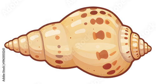 seashell, conch, shell, ocean, sea, beach, sand, marine, tropical, coastal, shellcartoon, cartoon, illustration, clipart, icon, icons, vector, shellvector, shellillustration, spiral, spiralshape, shel