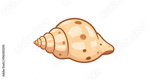 conch, shell, seashell, ocean, sea, beach, sand, marine, tropical, coastal, shellcartoon, cartoon, illustration, clipart, icon, icons, vector, shellvector, shellillustration, spiral, spiralshape, shel