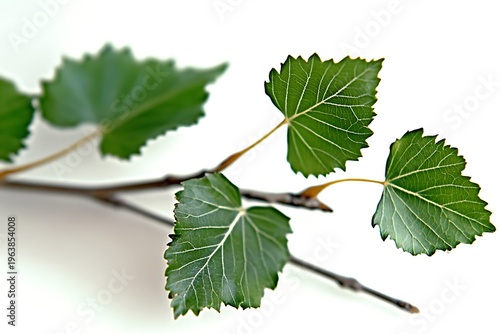 Fresh Green Leaves on a Low-Resolution Background Capturing Nature's Beauty and Simplicity