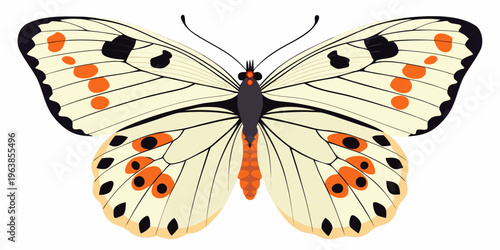 A colorful butterfly with spotted wings is shown in a graphic illustration