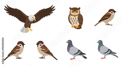 Birds of Different Species Flying Standing.