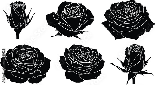 Here is the optimized content for your Adobe Stock submission, tailored for SEO and high discoverability.