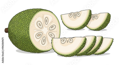 breadfruit slices illustration