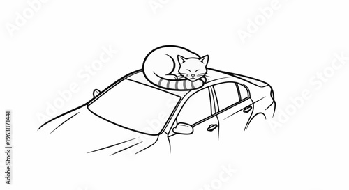 A cat sleeps curled up on the roof of a car