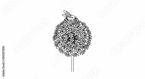 A black and white illustration of a bee perched on a round, star-shaped flower