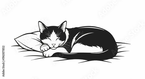 A black and white illustration of a cat curled up asleep on a pillow