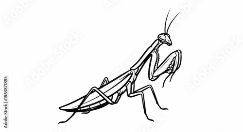 A black and white illustration of a praying mantis in profile on a white background