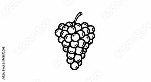 A black and white line drawing of a bunch of grapes