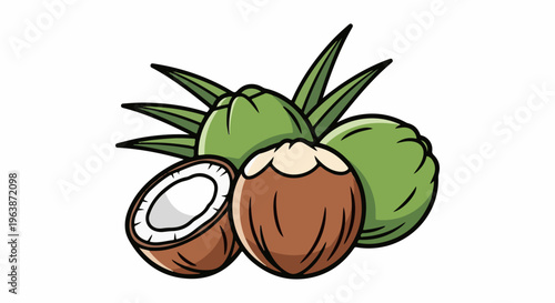 Cartoon illustration of three green coconuts and one cut in half revealing white flesh