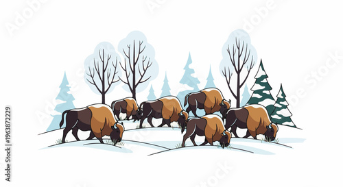A herd of bison grazes in a snowy winter landscape with trees