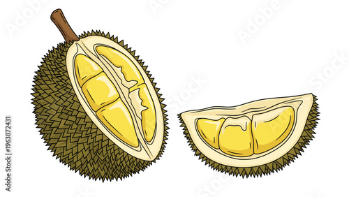 Whole thorny green durian fruit and a single open segment showing the fleshy yellow pulp on a plain white background.
