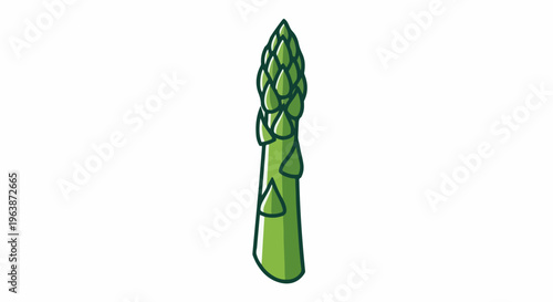 A single stalk of green asparagus with pointed bud tips, isolated on white