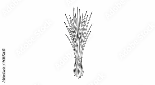 A sketch of a bundle of slender green stalks tied with string