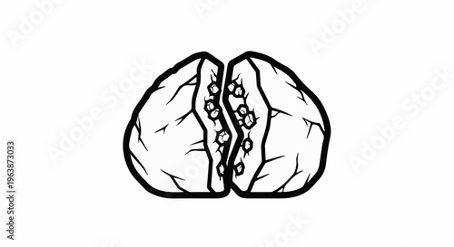 A stylized, cracked outline of a brain divided in the center