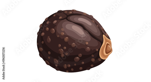 nutmegskin texture vector
