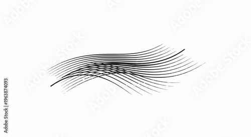 Abstract black wavy lines forming a complex, textured pattern on white