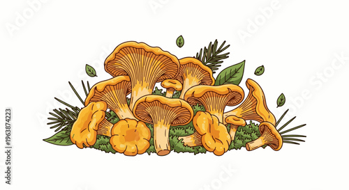 A vibrant illustration of a cluster of bright orange chanterelle mushrooms