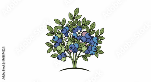 A vibrant illustration of a blueberry bush with ripe berries and small white flowers
