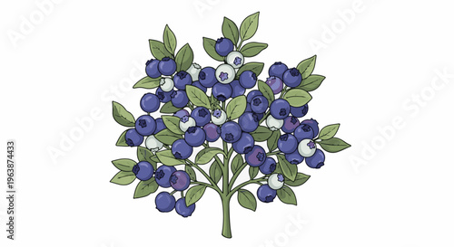 A vibrantly illustrated blueberry bush with plump purple berries