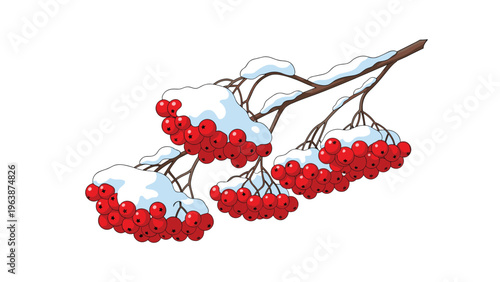 Close-up illustration of rowan berries on a branch heavily covered with fresh white snow in a winter forest.