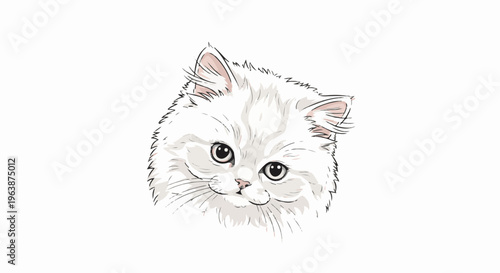 Adorable fluffy white cat with large eyes and pink ears