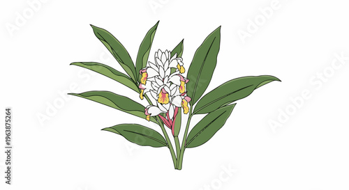 A delicate illustration of a blooming ginger flower with vibrant green leaves