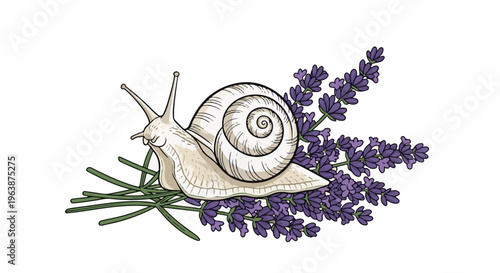 A delicate illustration of a light-colored snail on a cluster of lavender sprigs