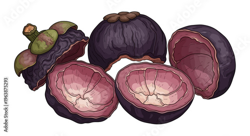 close up of dried mangosteen peel 