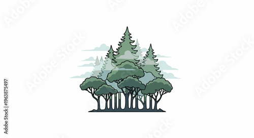 A dense forest of evergreen and deciduous trees with clouds