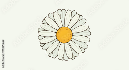 A detailed illustration of a single daisy with white petals and a yellow center